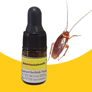 سوسک آمریکایی-Cockroach, American-Periplaneta americana