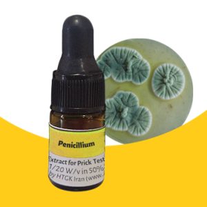 قارچ پنیسیلیوم-Fungus-Penicillium notatum