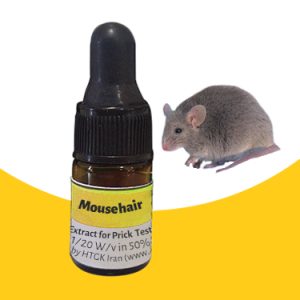 موی موش-Mouse hair-Mus musculus